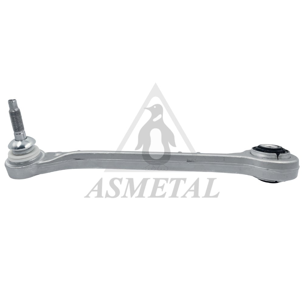 Track Control Arm Rear Left (Without Fasteners)