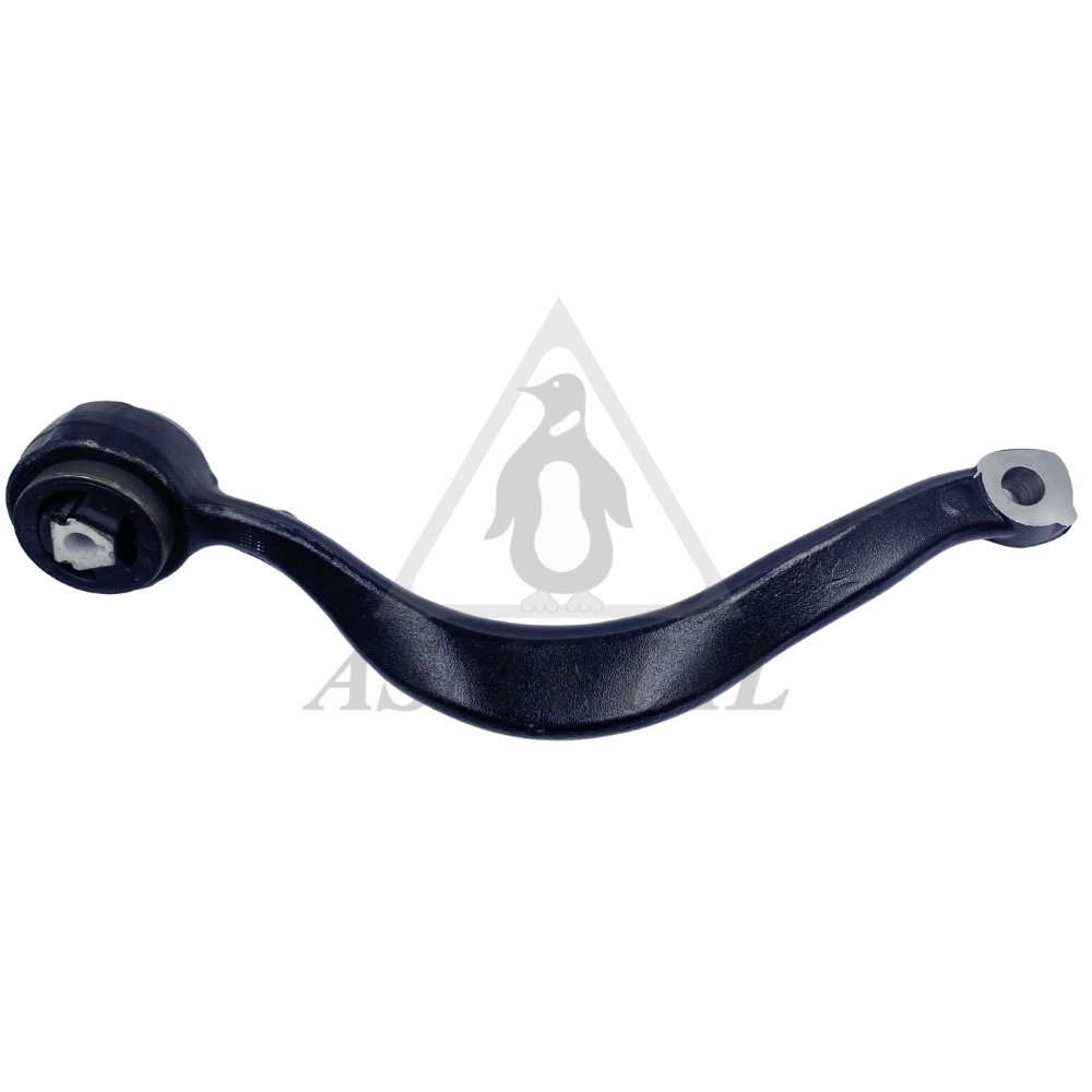 Track Control Arm Right (Without Ball Joint)