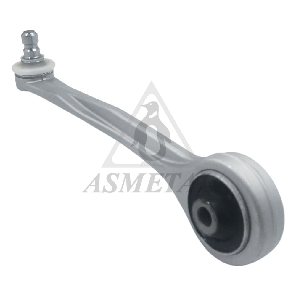 Track Control Arm Right (Without Fasteners)