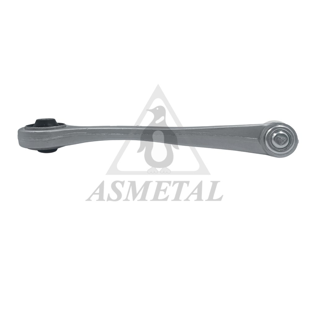 Track Control Arm Right (Without Fasteners)
