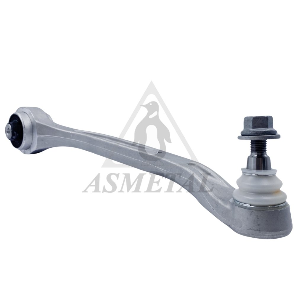Track Control Arm Lower Right