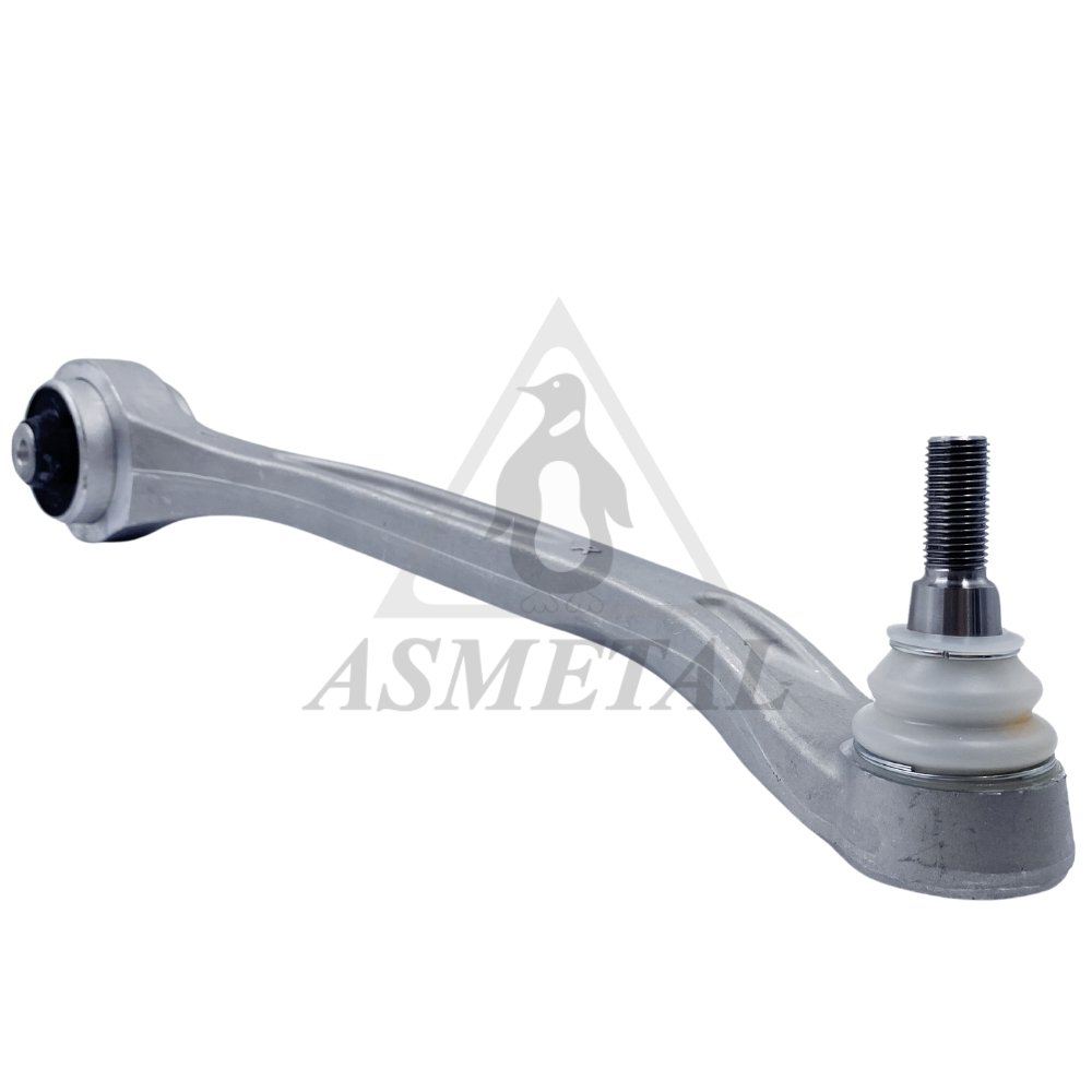 Track Control Arm Lower Right (Without Fasteners)