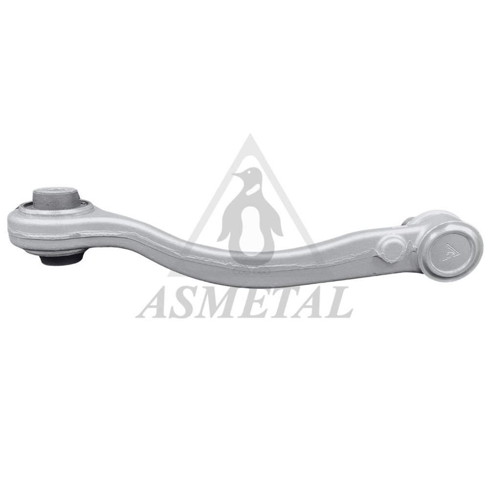 Track Control Arm Upper Right