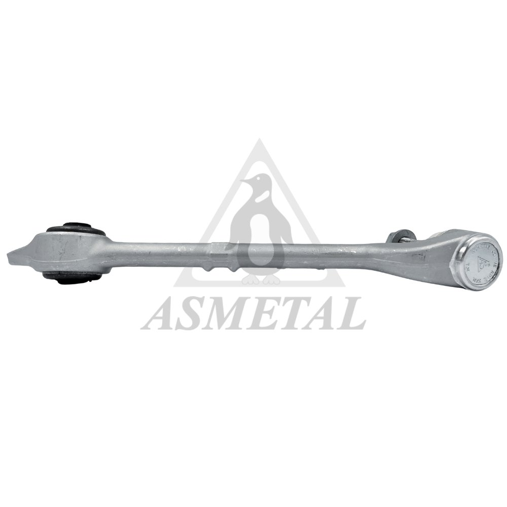 Track Control Arm Lower Right