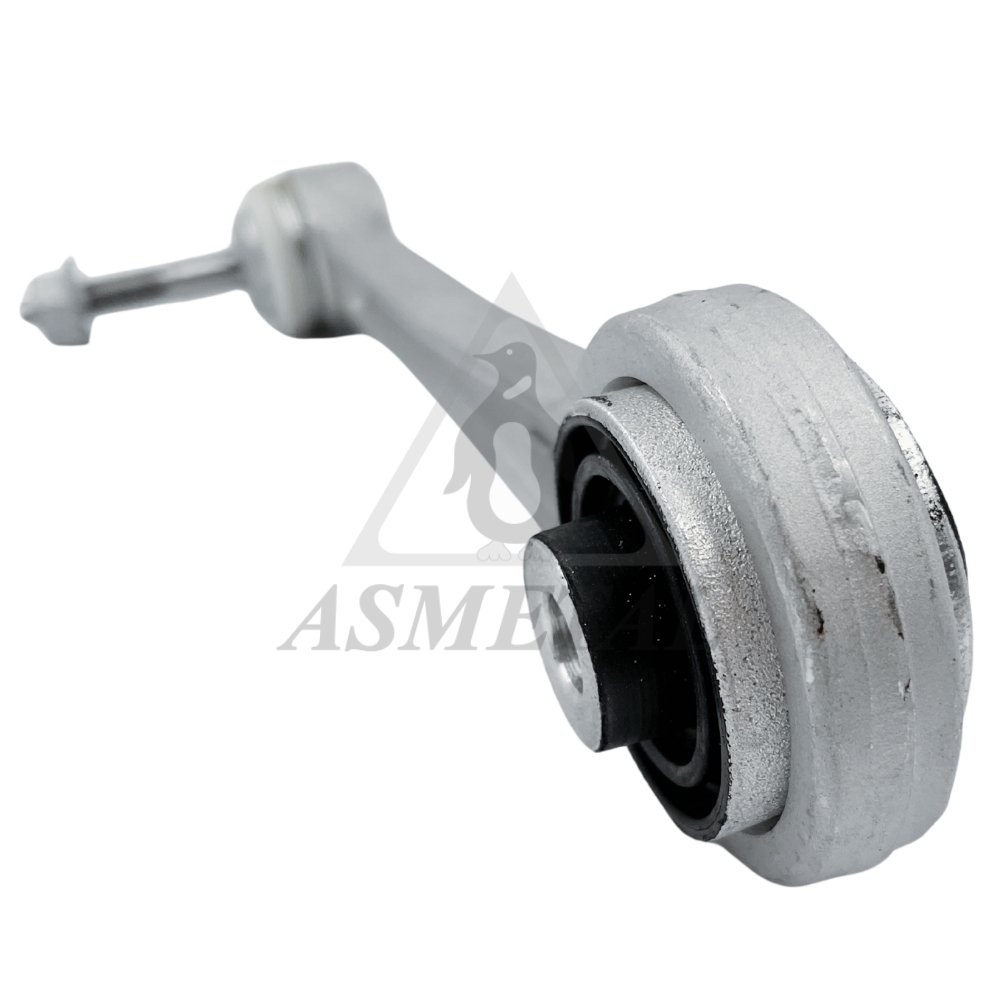 Track Control Arm Rear