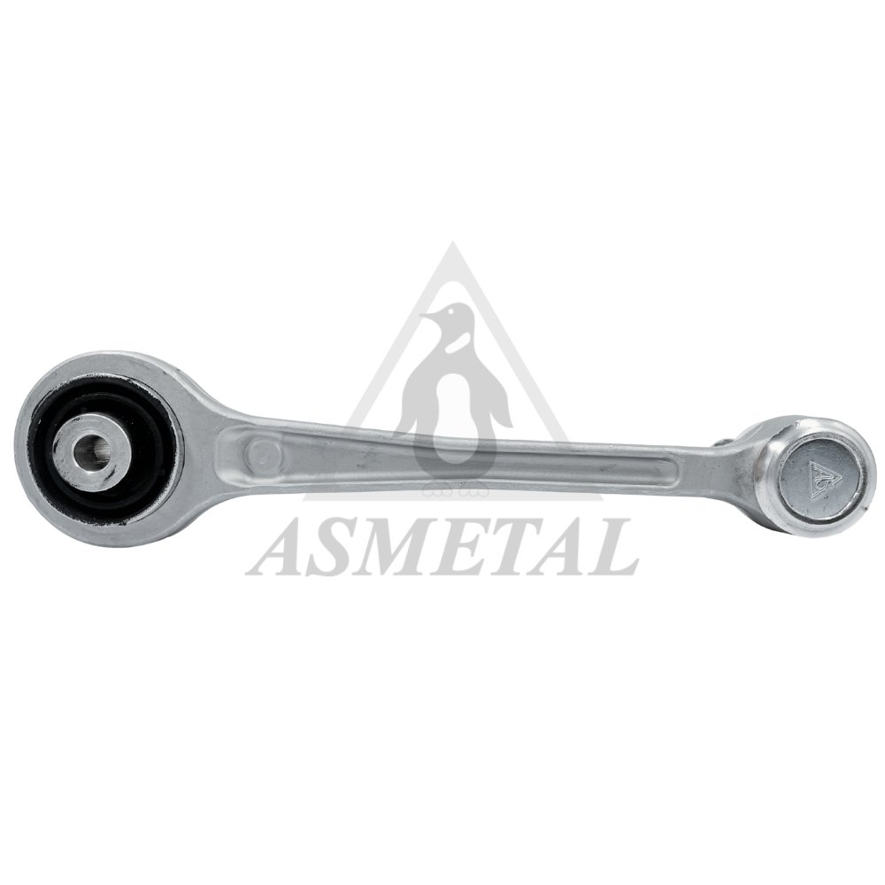 Track Control Arm Rear