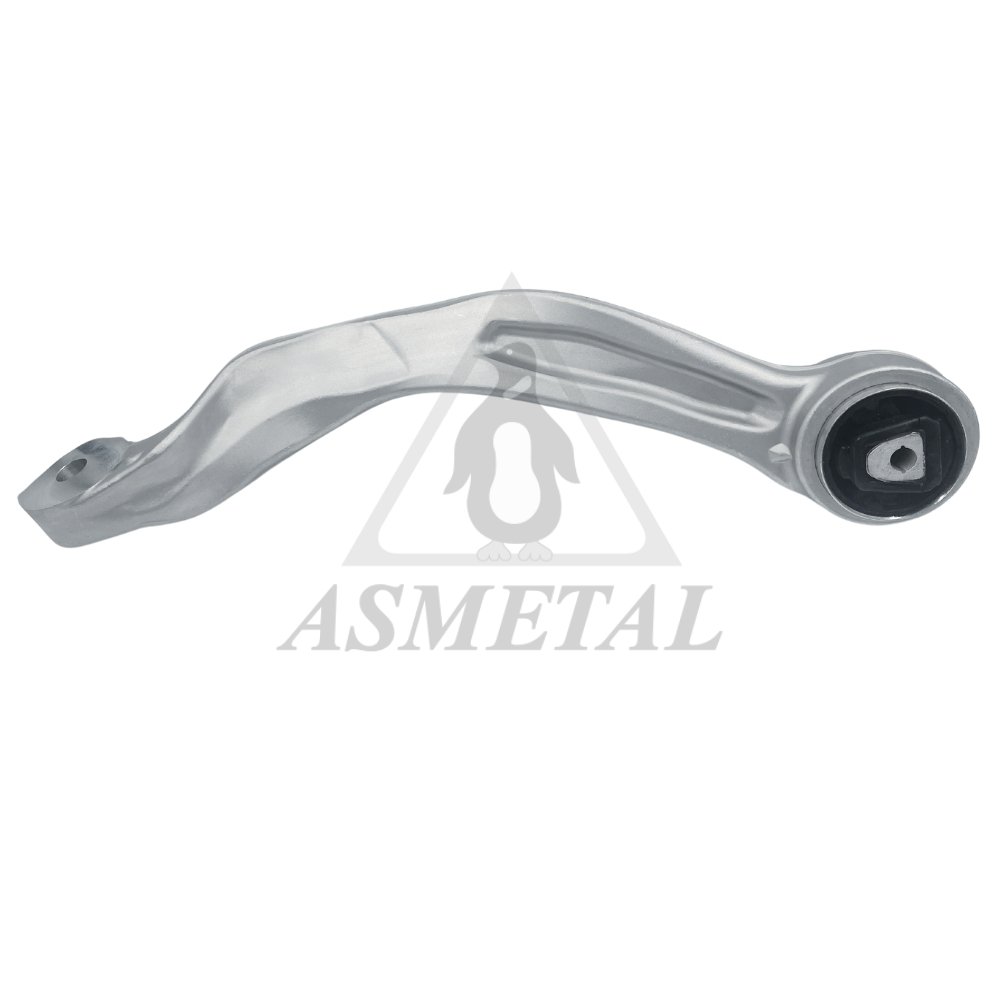 Track Control Arm Upper Left (Without Fasteners)