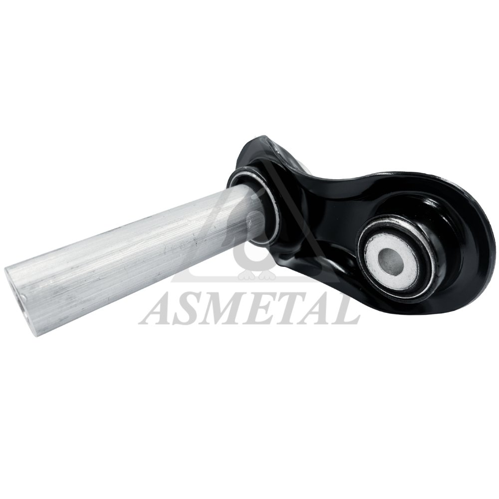 Track Control Arm Rear