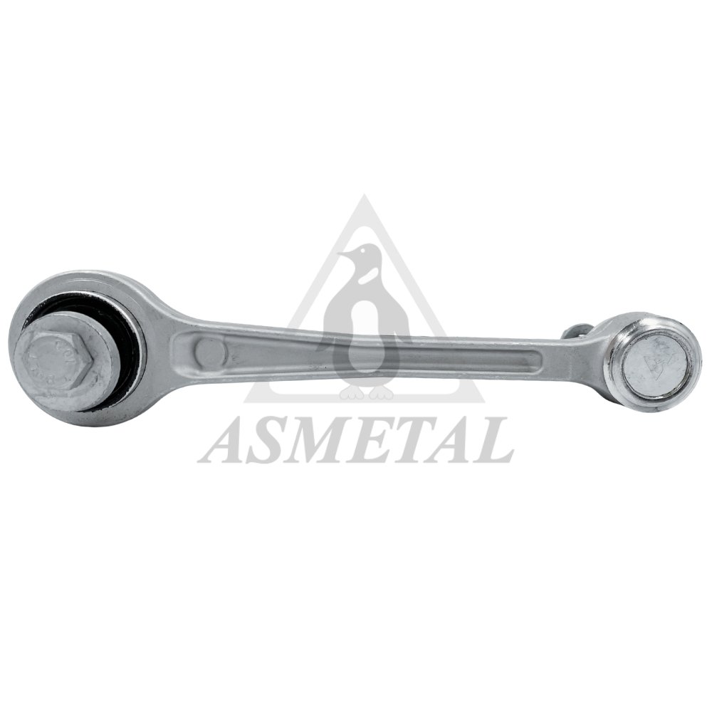 Track Control Arm Rear