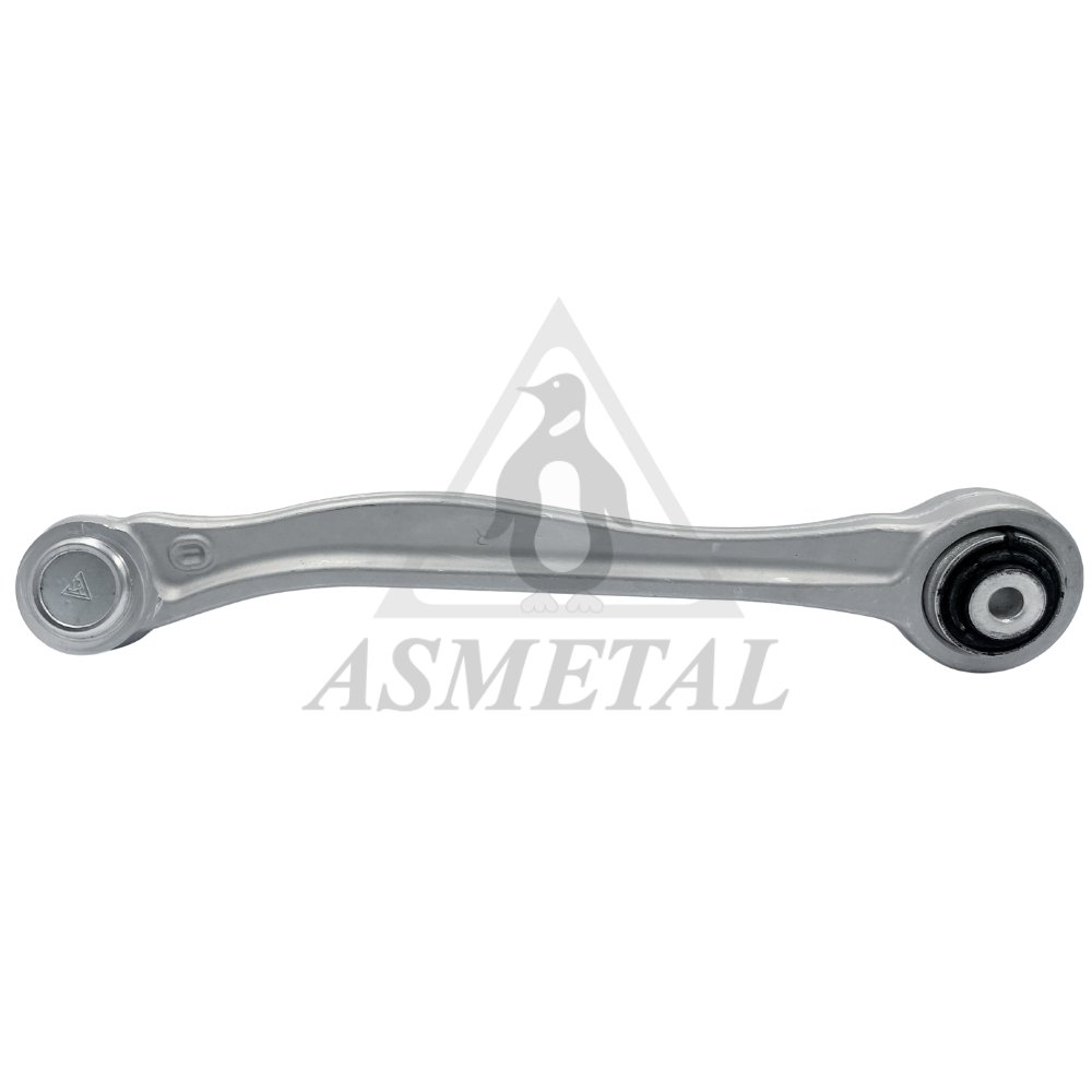 Track Control Arm Rear Right (Without Fasteners)