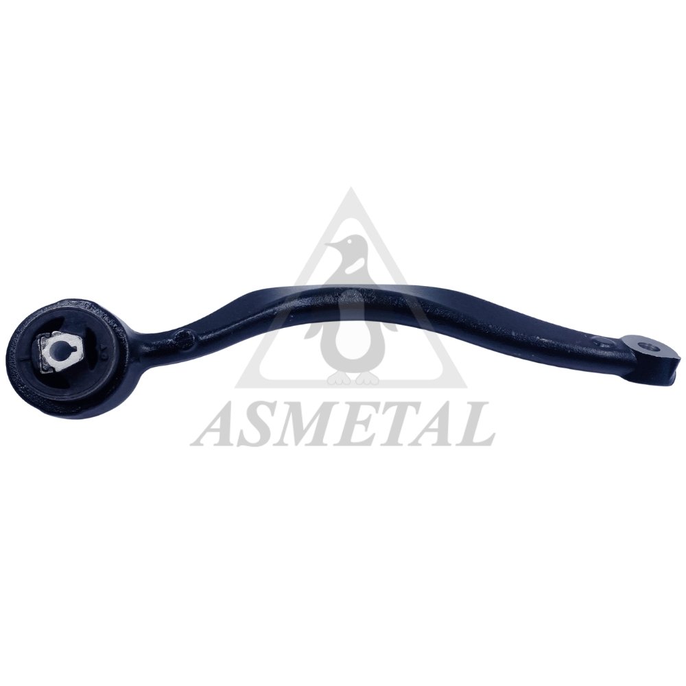 Track Control Arm Right (Without Ball Joint)