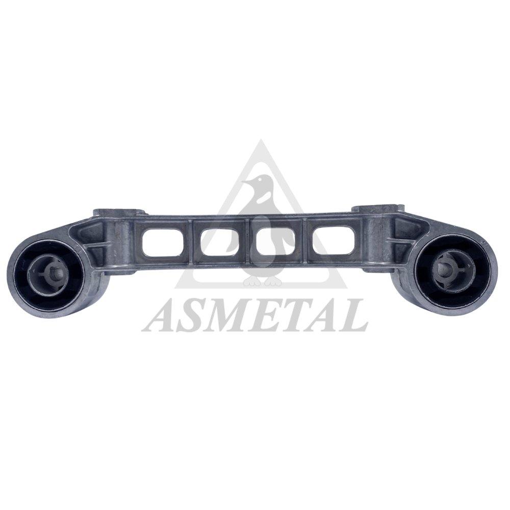 Track Control Arm Rear
