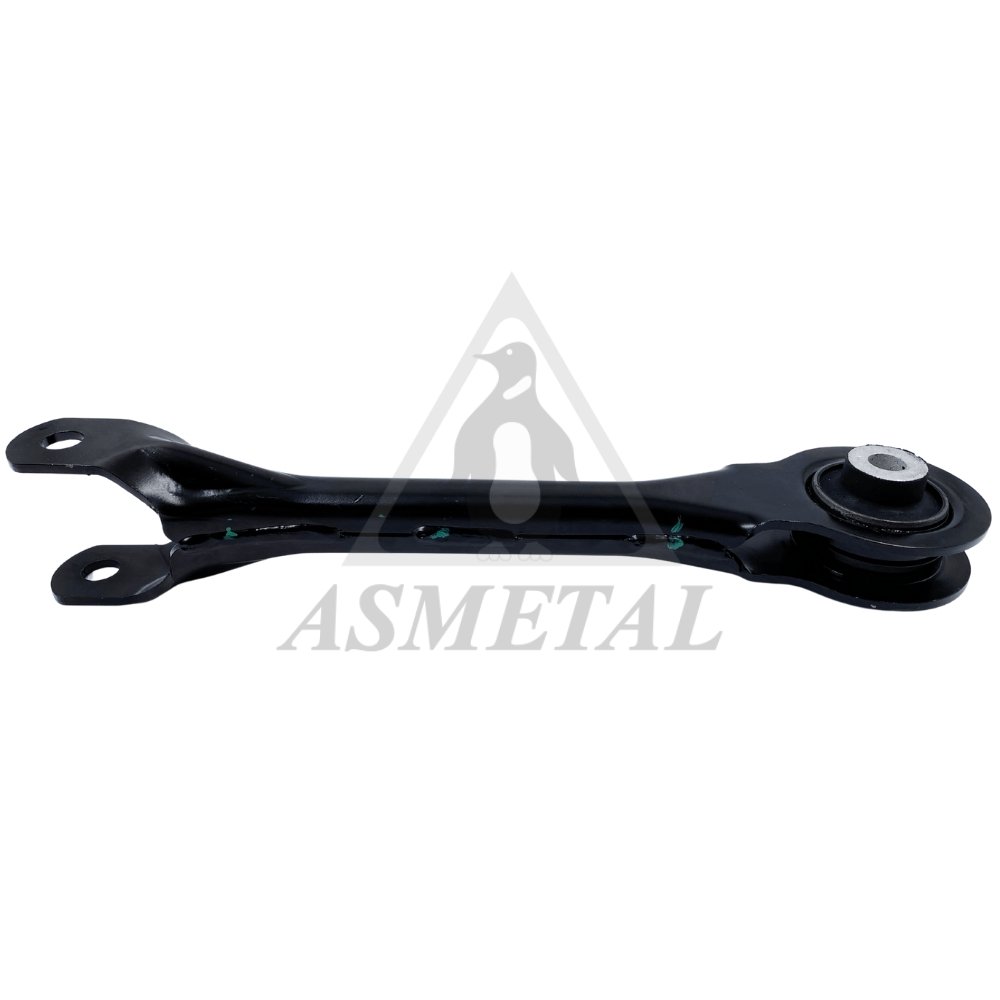 Track Control Arm Rear