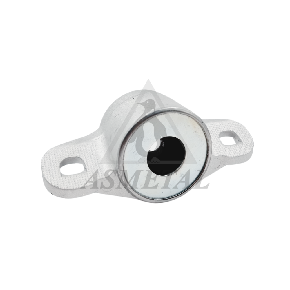 Strut Mount