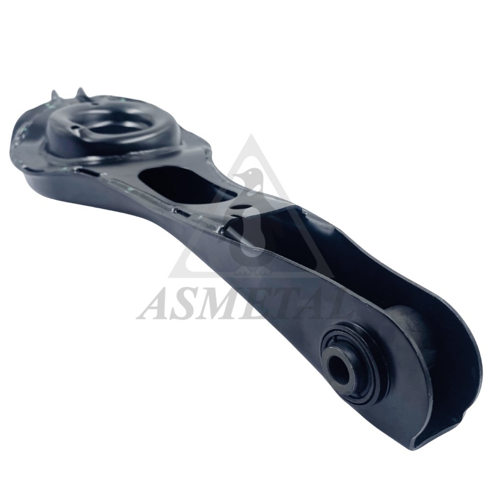 Track Control Arm Rear