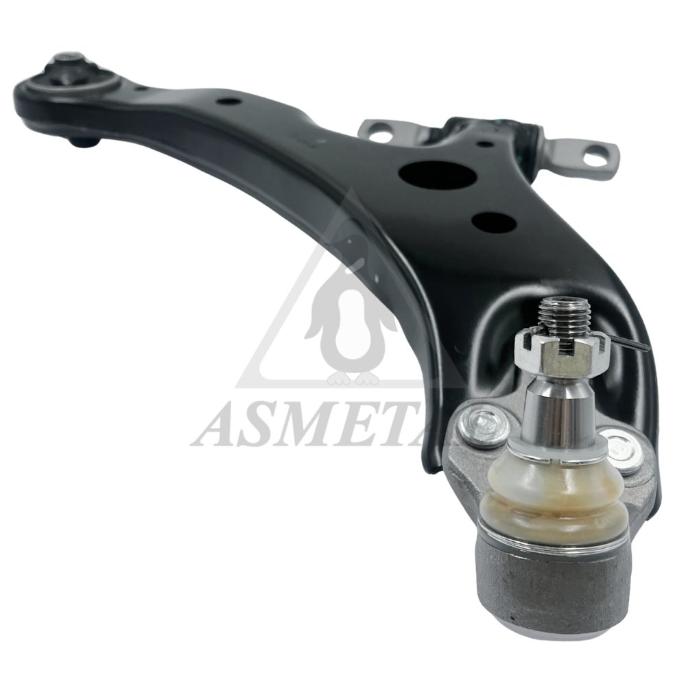 Track Control Arm Lower Right